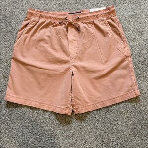 American Eagle Flex Trekker Shorts in Terracotta NWT